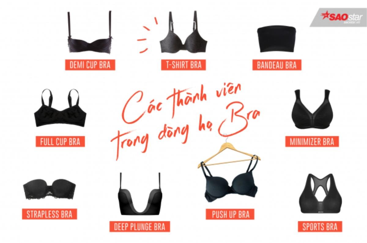 all-about-bra2