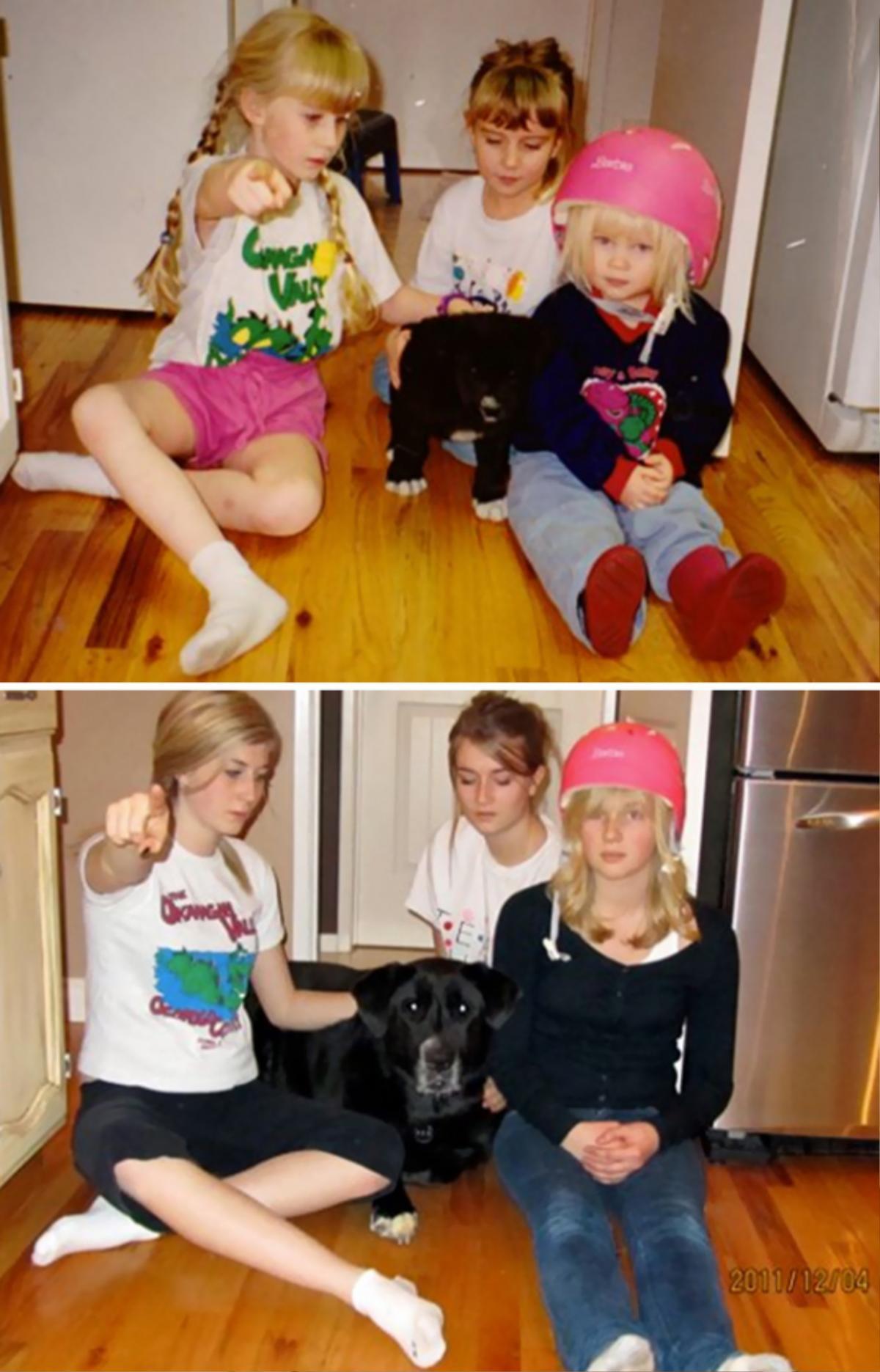 before-after-dogs-growing-up-together-with-owners-63-58297655bbe4c__700