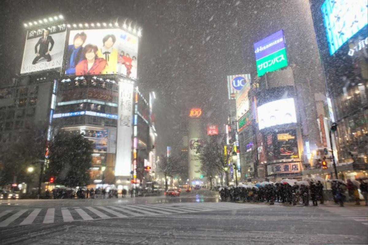 tokyo-snow-2011-02-14-g8030