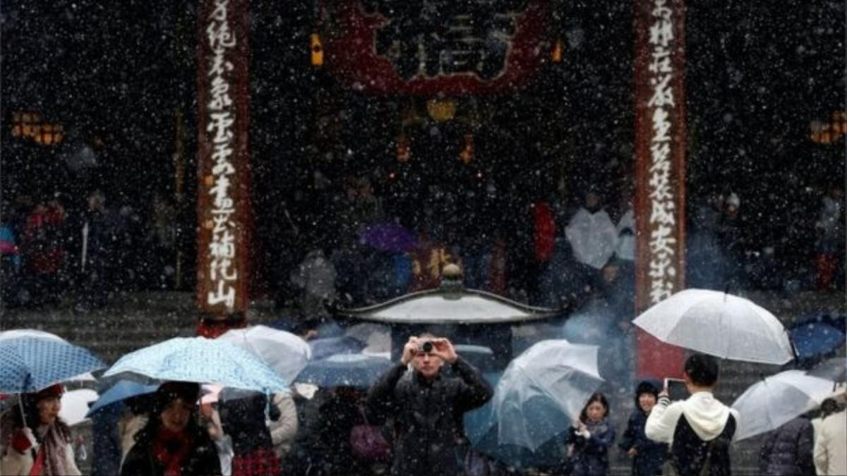 Với du khách nước ngoài, đây là dịp bất ngờ hiếm có đươc trải nghiêm tuyết ở Tokyo.