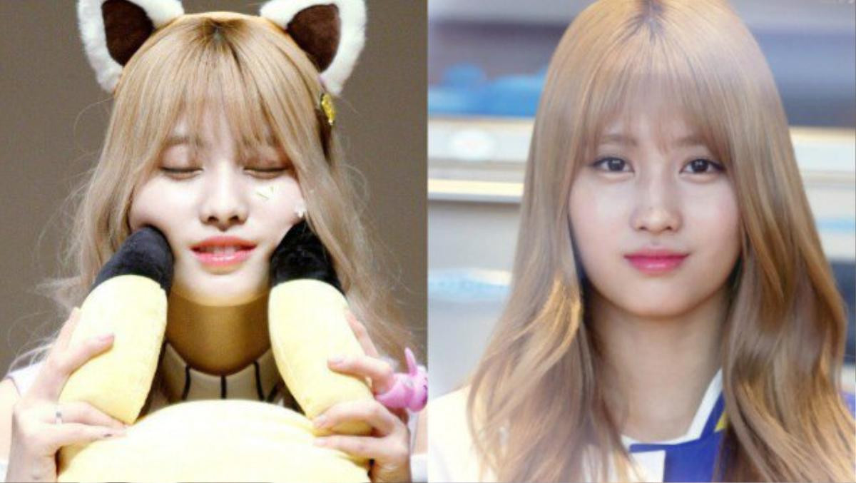 Momo của nhóm nhạc nữ đang lên TWICE 