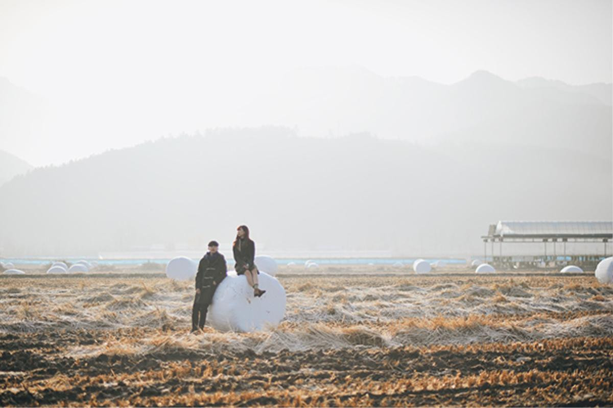 Cánh đồng bát ngát ở trang trại cừu Daegwallyeong - tỉnh Gangwondo.