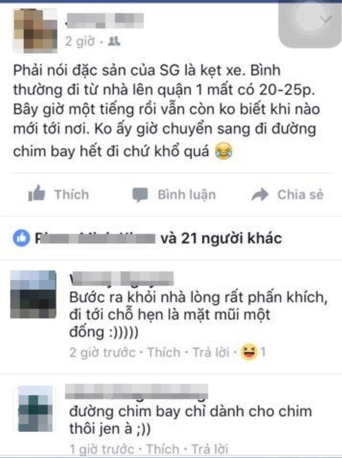 Đường phố Sài Gòn dạo này làm sao mà dân tình kêu than ầm ầm trên facebook thế? Ảnh 6