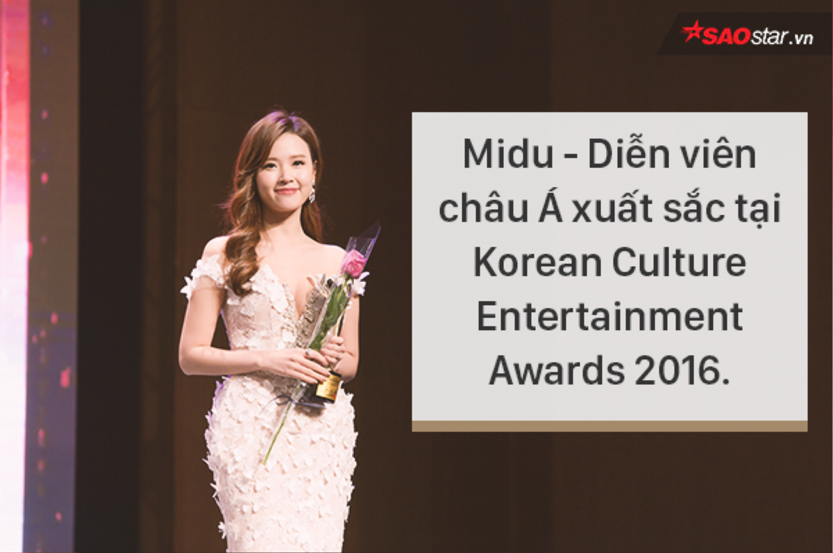 Năm 2016: Khi Hàn Quốc không còn là giấc mơ của showbiz Việt Ảnh 15