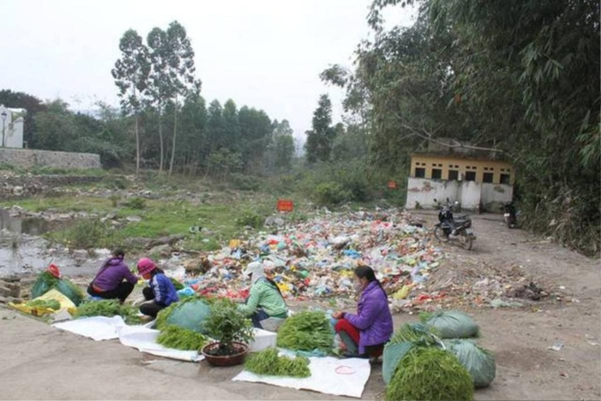 Chủ tịch thị trấn Tam Đảo: 'Nửa đêm, người dân vẫn gọi báo chúng tôi phượt thủ nẹt pô ầm ĩ và trộm su su' Ảnh 3