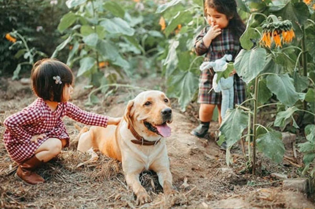 Biểu cảm sợ chó vô cùng đáng yêu của 2 cô bé 'gây sốt' cộng đồng mạng Ảnh 3