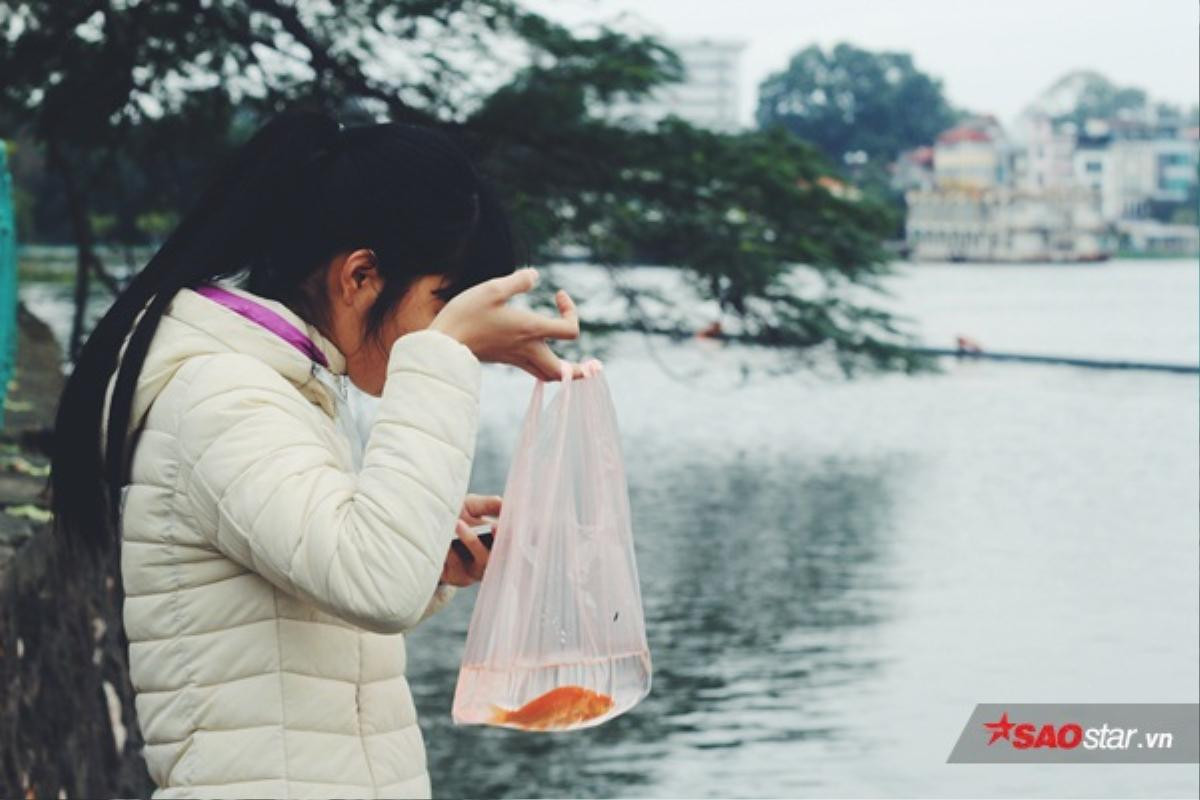 Làm ăn khấm khá, thả hàng chục kg cá chép để tạ ơn ông Công ông Táo Ảnh 7