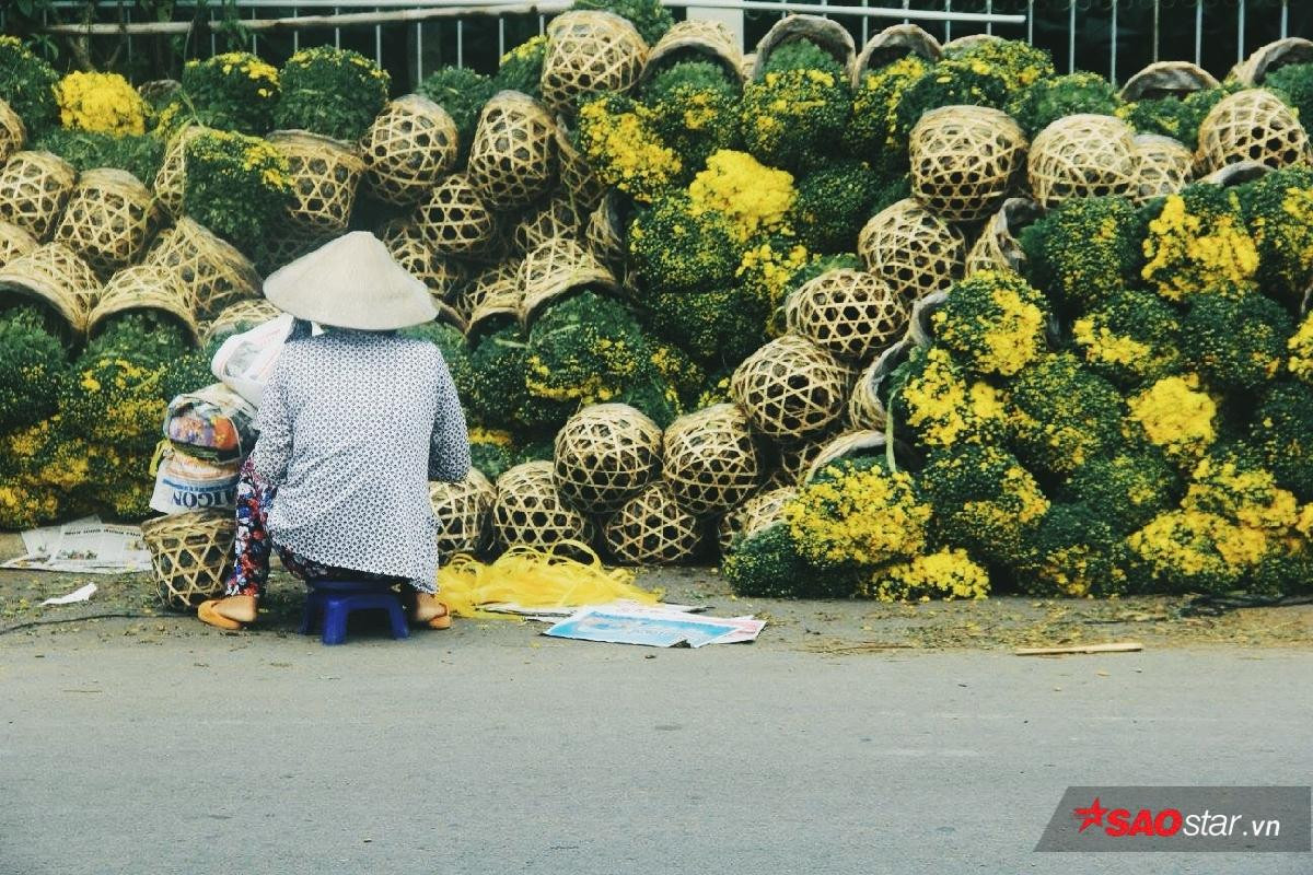 Những hình ảnh bình yên của làng hoa Sa đéc-nơi 4 mùa đều là mùa xuân Ảnh 18