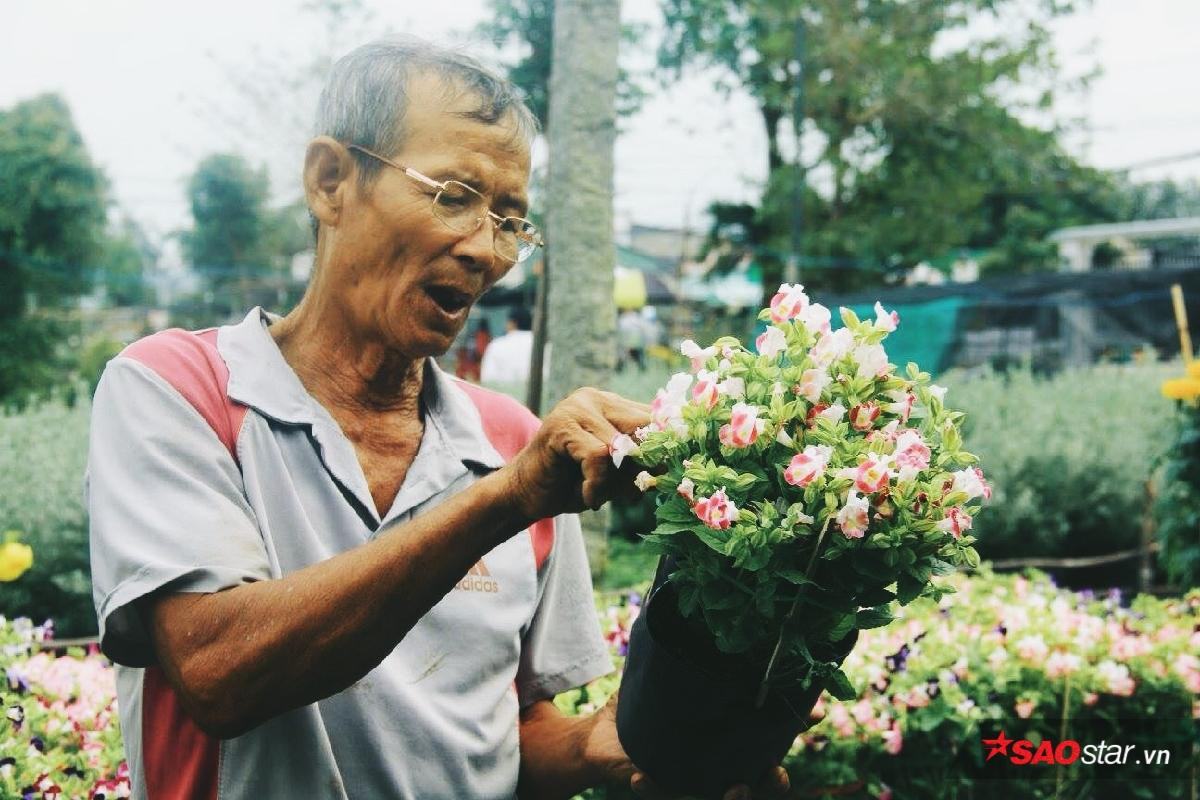 Những hình ảnh bình yên của làng hoa Sa đéc-nơi 4 mùa đều là mùa xuân Ảnh 17