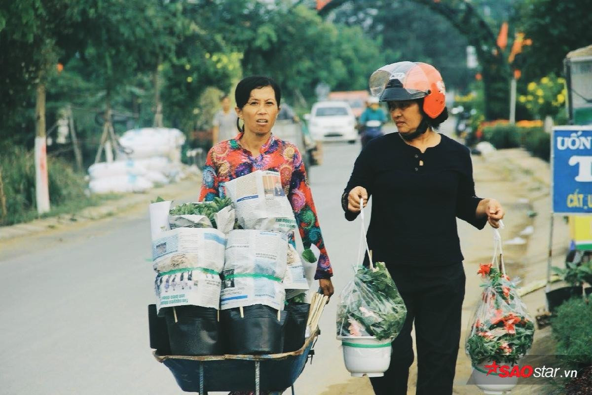 Những hình ảnh bình yên của làng hoa Sa đéc-nơi 4 mùa đều là mùa xuân Ảnh 6