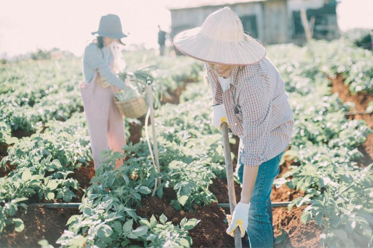 Chụp ở vườn rau thôi mà cũng được bộ ảnh cưới đẹp mê hồn đến thế này Ảnh 15