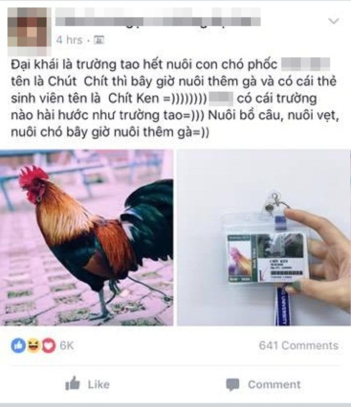 Đại diện ĐH Thăng Long: 'Thẻ sinh viên gà và chó là sản phẩm giả mạo' Ảnh 2