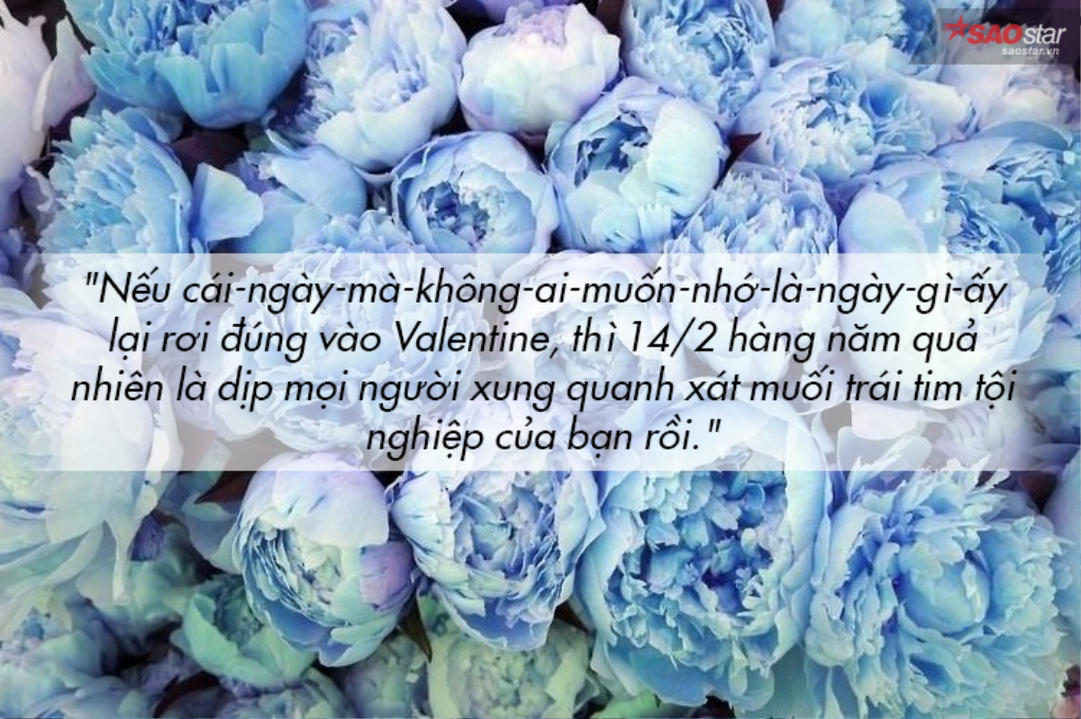 Này Valentine! Đừng bao giờ tồn tại nữa nhé! Ảnh 4