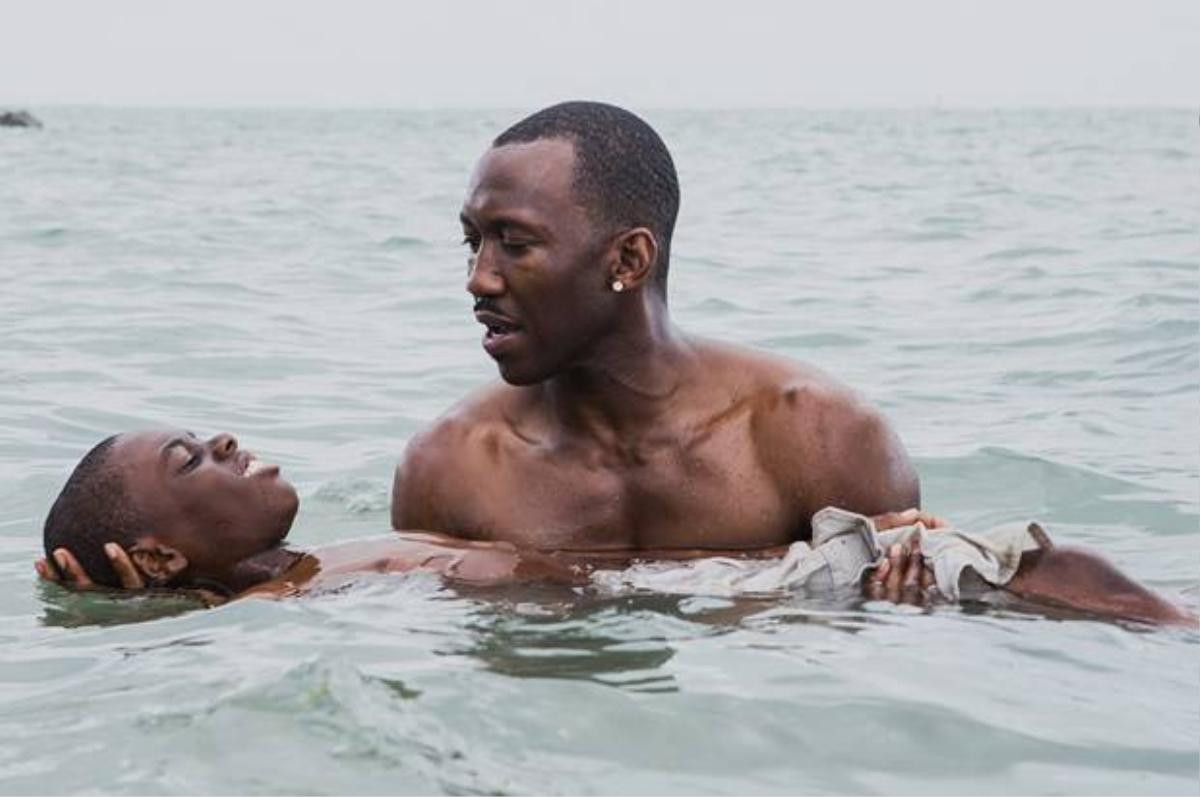 Moonlight - Kiệt tác tiếp theo có khả năng đánh bật 'La La Land' tại Oscar 2017 Ảnh 2