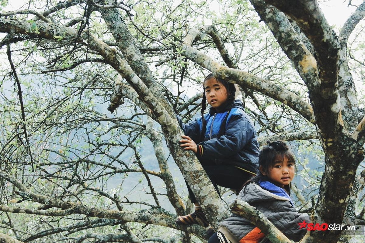 Mộc Châu mùa mận trắng và bầy trẻ con biết vui khi thấy mùa hoa về Ảnh 1