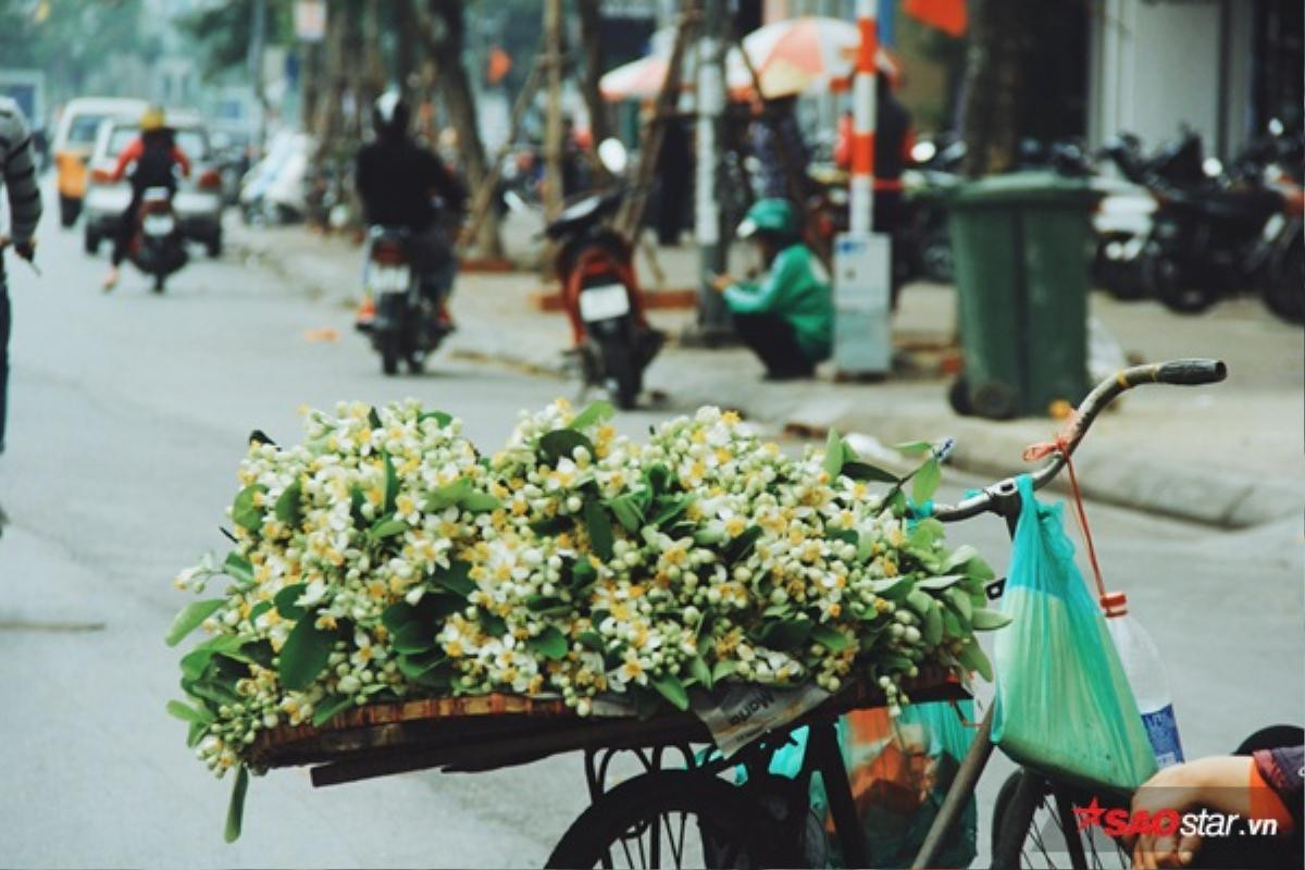 Gánh hoa bưởi đầu mùa trên phố, bước chầm chậm để cảm nhận cái hồn quê man mác Ảnh 1