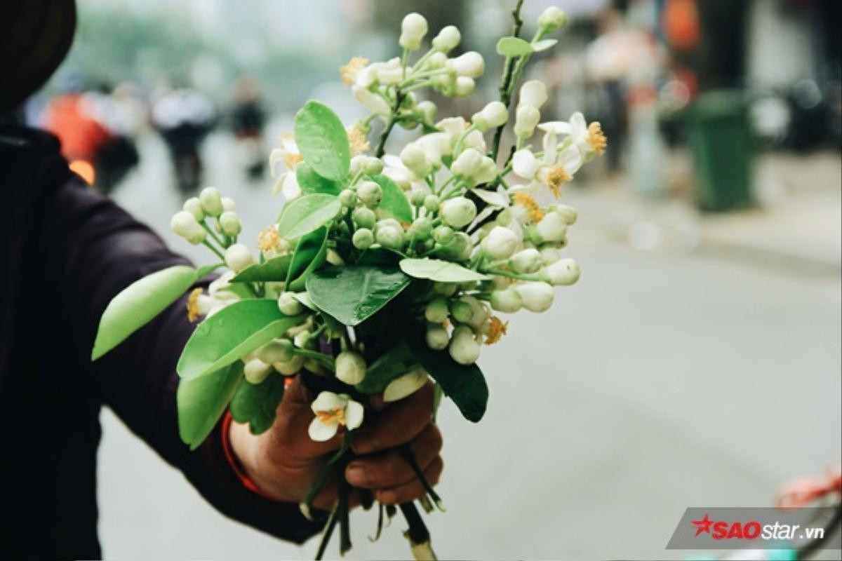 Gánh hoa bưởi đầu mùa trên phố, bước chầm chậm để cảm nhận cái hồn quê man mác Ảnh 2