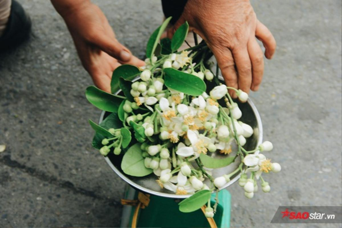 Gánh hoa bưởi đầu mùa trên phố, bước chầm chậm để cảm nhận cái hồn quê man mác Ảnh 6