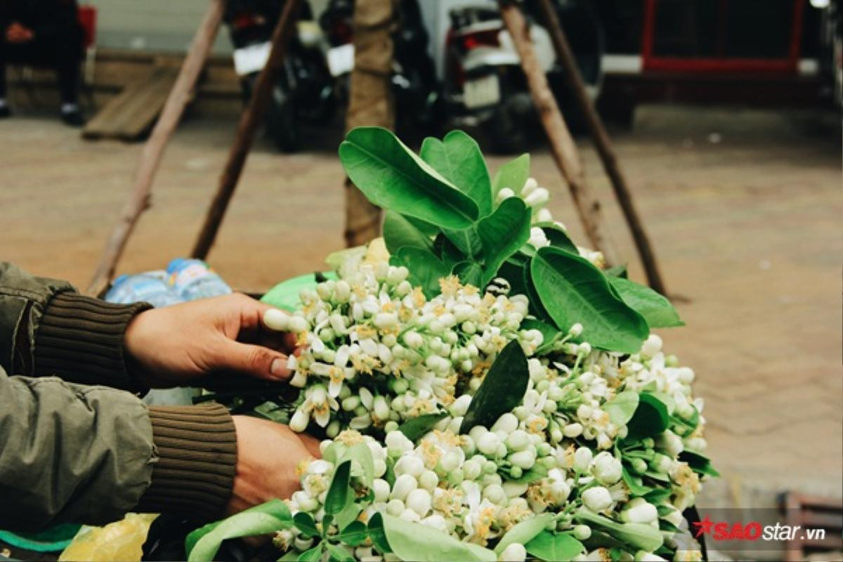 Gánh hoa bưởi đầu mùa trên phố, bước chầm chậm để cảm nhận cái hồn quê man mác Ảnh 13