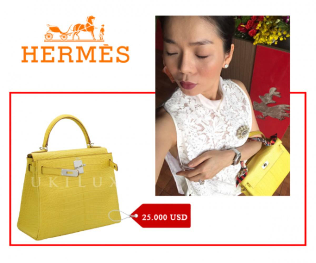 Không thua kém bất kì ai, Lệ Quyên xứng danh 'Nữ hoàng Hermes' trong showbiz Việt Ảnh 6