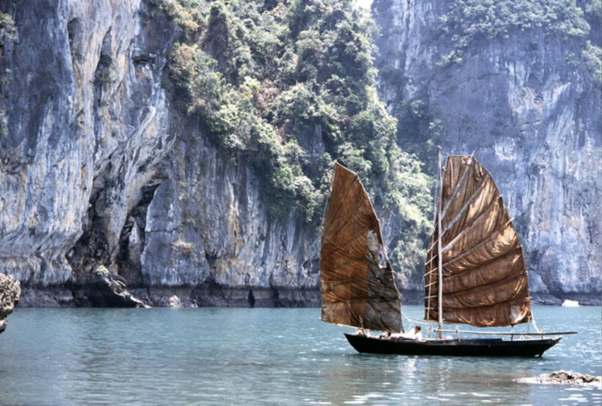 Đoàn làm phim 'Cô dâu thủy thần' đến Việt Nam ghi hình: Một ý tưởng không hề vô lý Ảnh 3