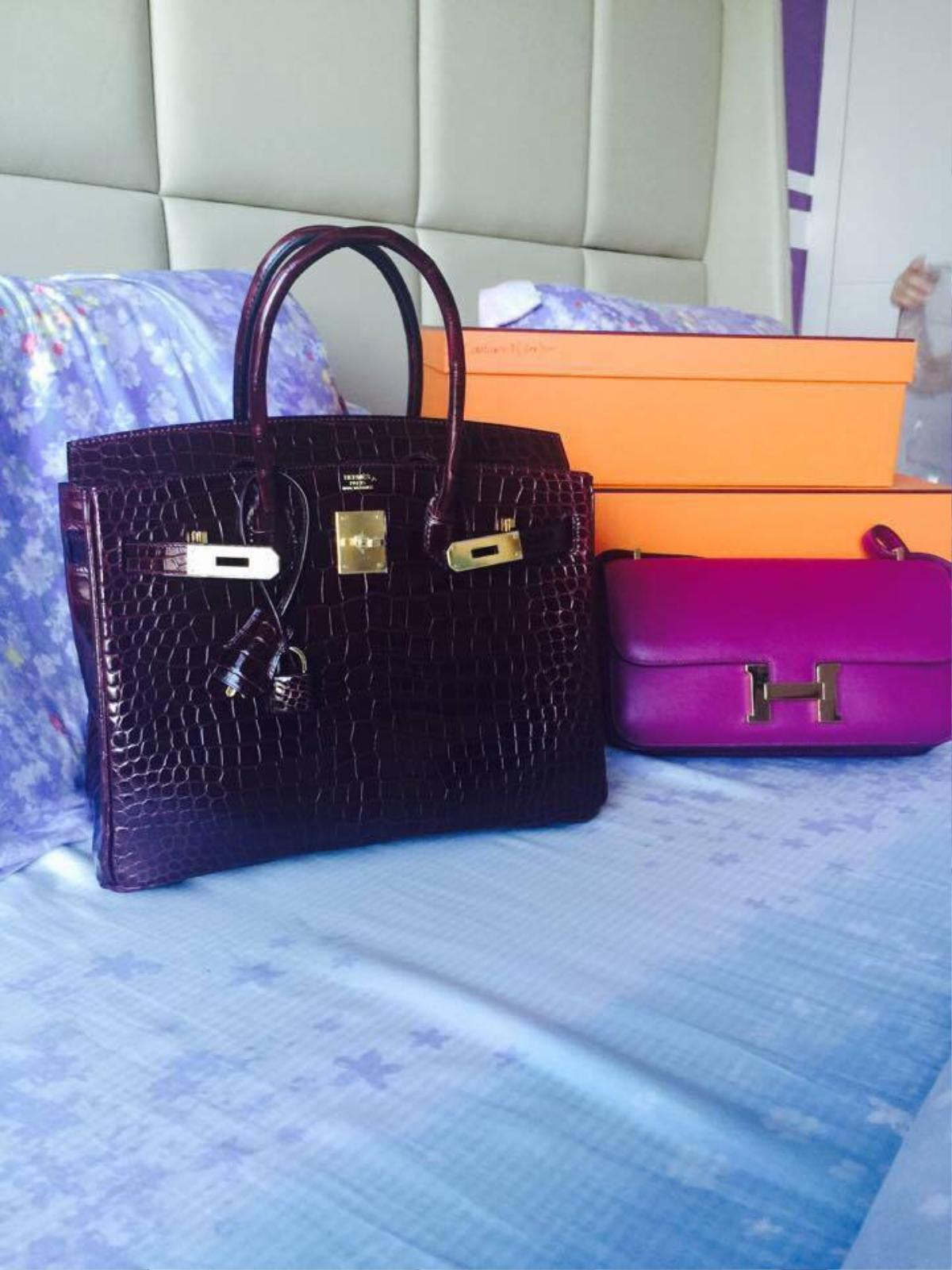 Đâu chỉ 'Hermes bạch tạng', á hậu Phương Lê còn có cả 1 bộ sưu tập Birkin! Ảnh 4