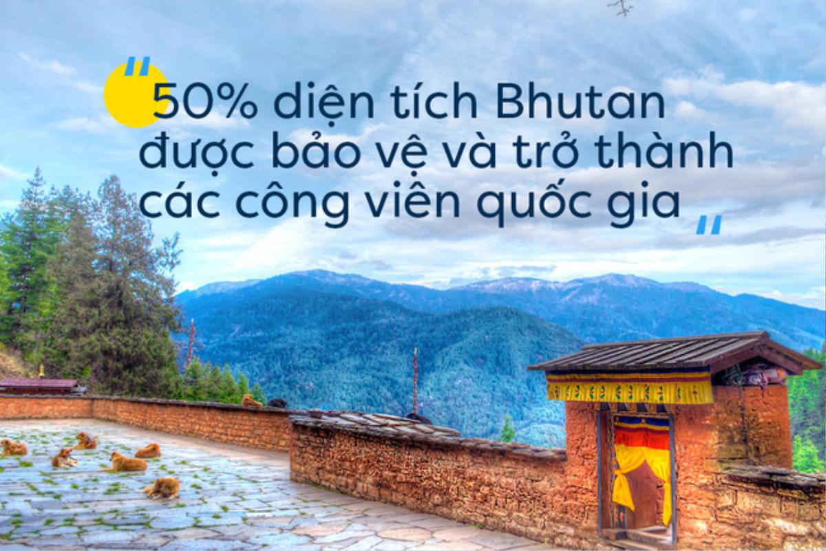 Nhân ngày Quốc tế Hạnh phúc, cùng ghé thăm quốc gia 'triệu người mê' được mệnh danh hạnh phúc nhất thế giới Ảnh 4