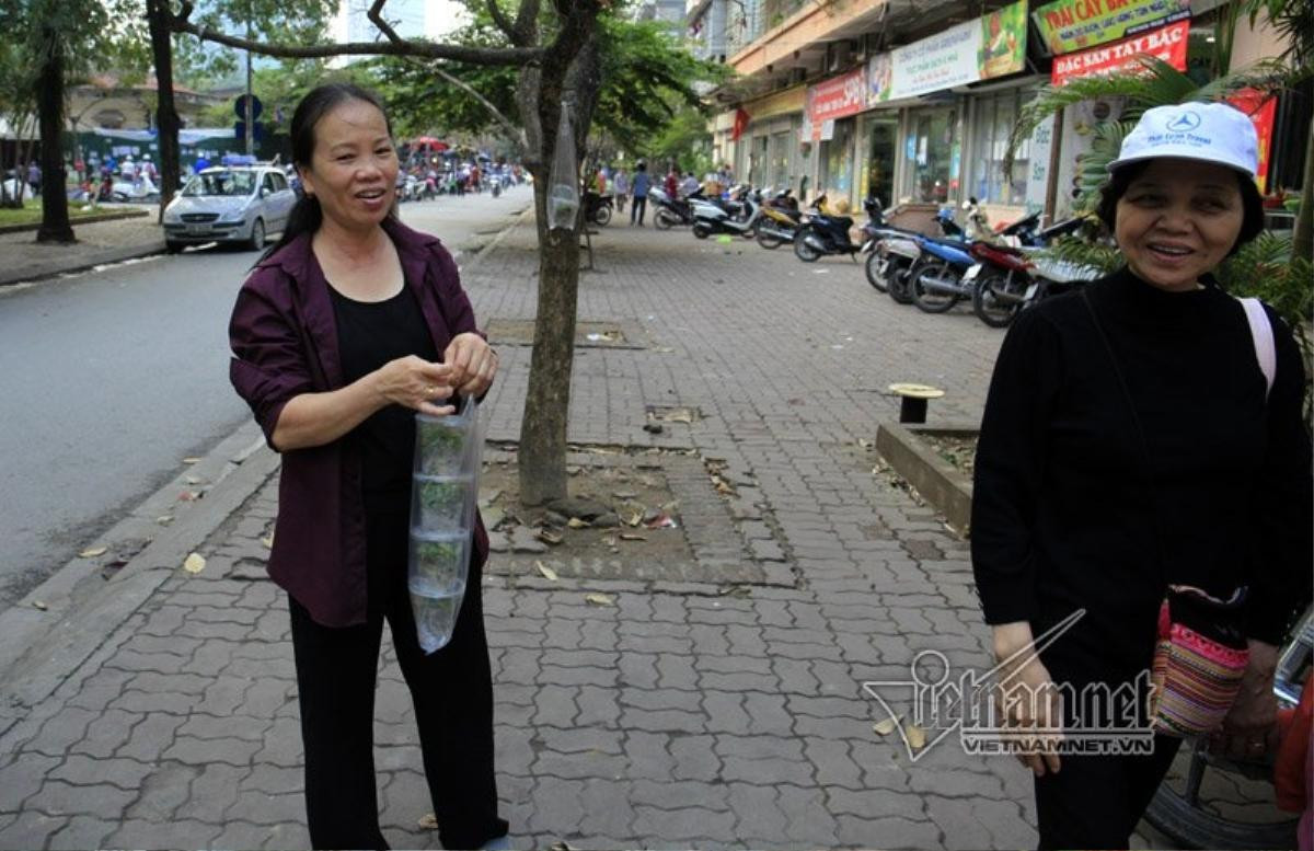 Trả vỉa hè, dân treo hàng lơ lửng cành cây kiếm sống Ảnh 3