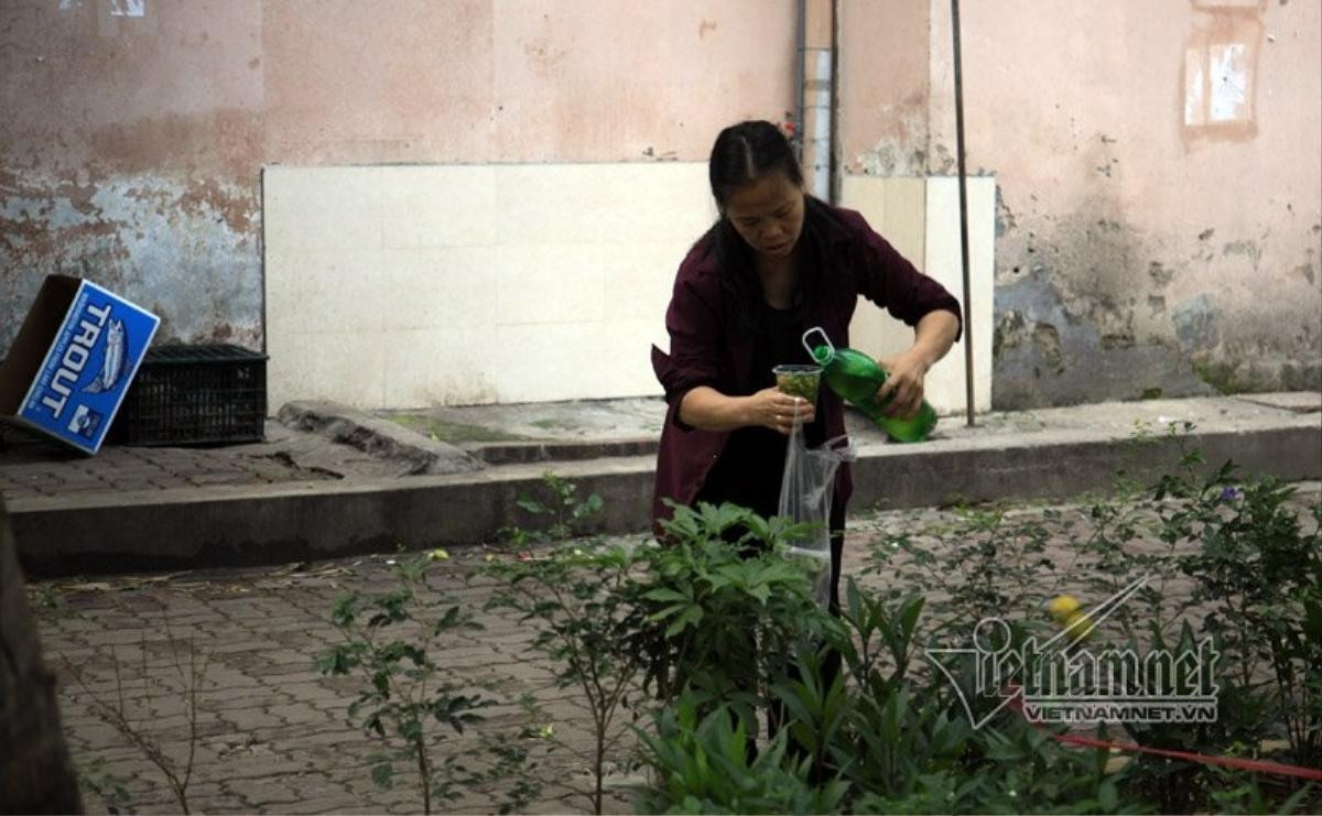 Trả vỉa hè, dân treo hàng lơ lửng cành cây kiếm sống Ảnh 6