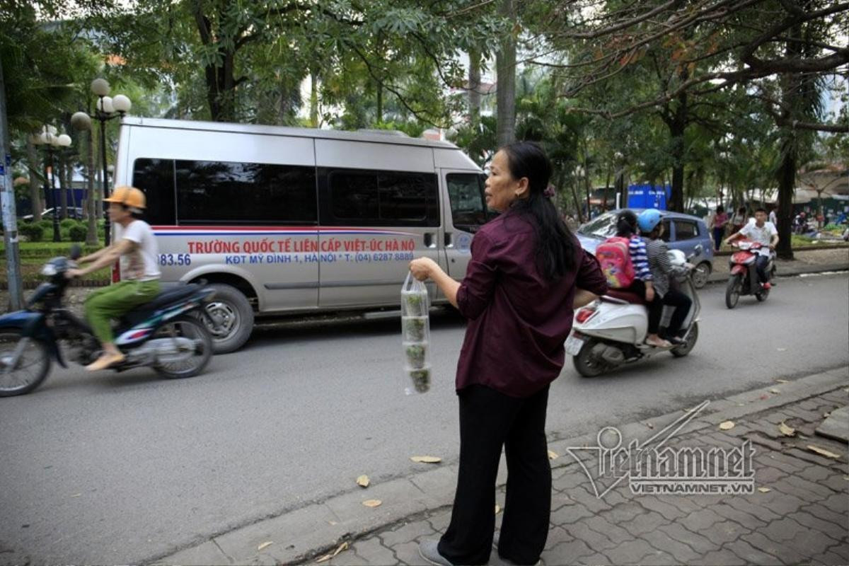 Trả vỉa hè, dân treo hàng lơ lửng cành cây kiếm sống Ảnh 9