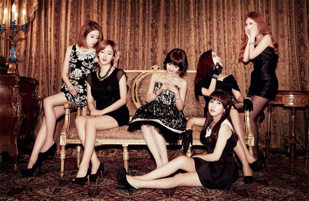 Những dự định cuối cùng của T-ara: Quảng bá album, mini concert và fan meeting Ảnh 1