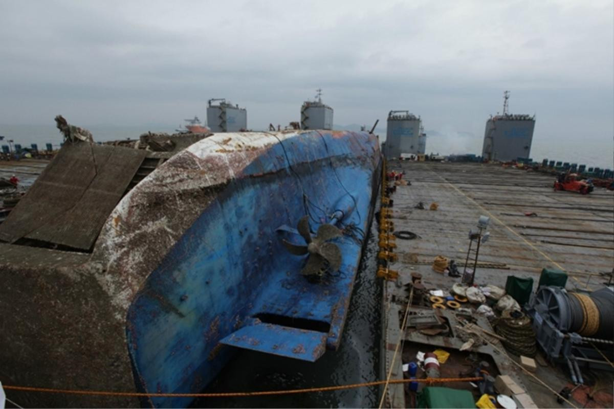 Cận cảnh phà Sewol sau 3 năm chìm sâu ở đáy biển Ảnh 2