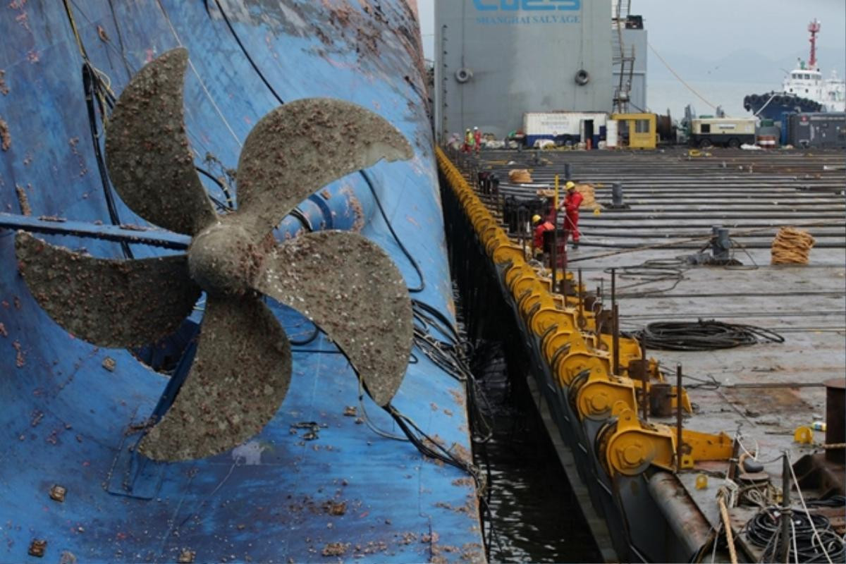 Cận cảnh phà Sewol sau 3 năm chìm sâu ở đáy biển Ảnh 8