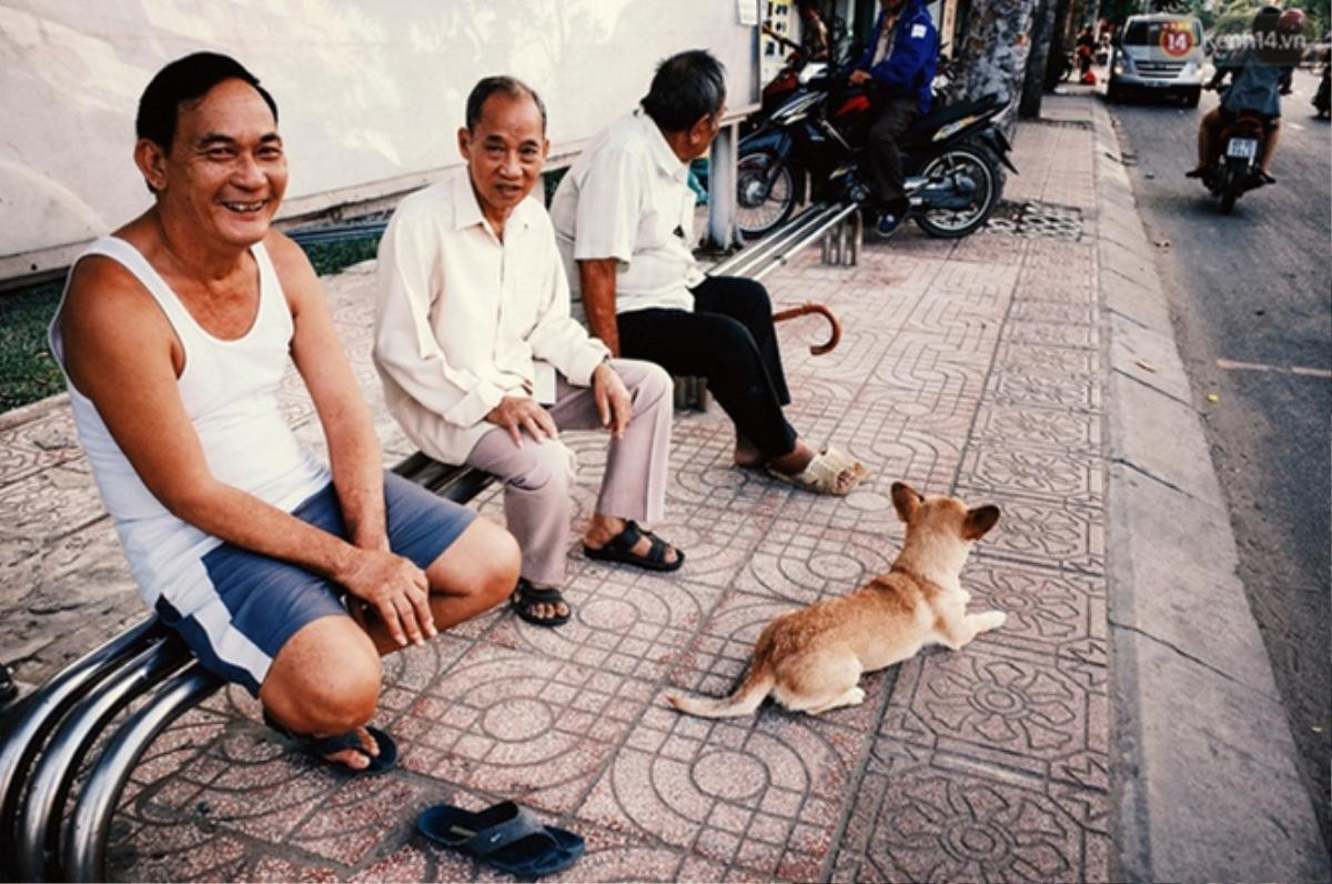 Những mẩu chuyện nhỏ xinh của người Sài Gòn yêu mèo, yêu chó! Ảnh 6