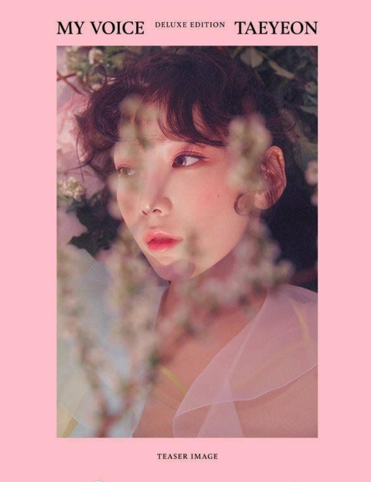 Taeyeon (SNSD) chuẩn bị tung album nhiều ca khúc nhất trong sự nghiệp Ảnh 2