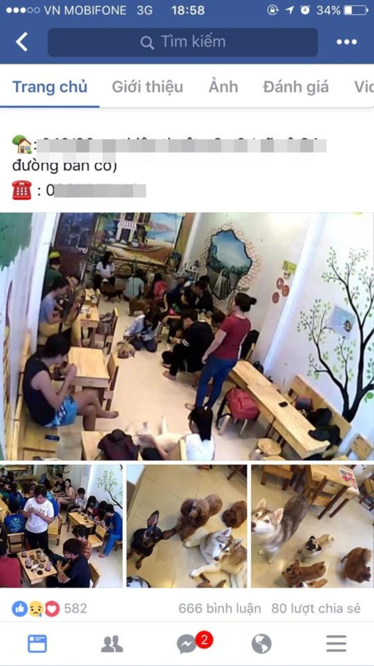 Chủ quán cafe thú cưng bị 'tố' ngược đãi chó mèo, lừa gạt khách hàng Ảnh 2