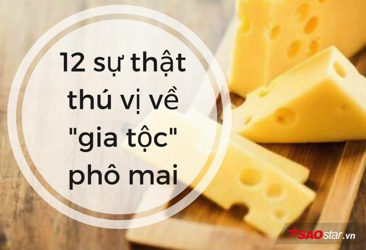 12 bí mật thú vị khó cưỡng về 'gia tộc' phô mai Ảnh 1