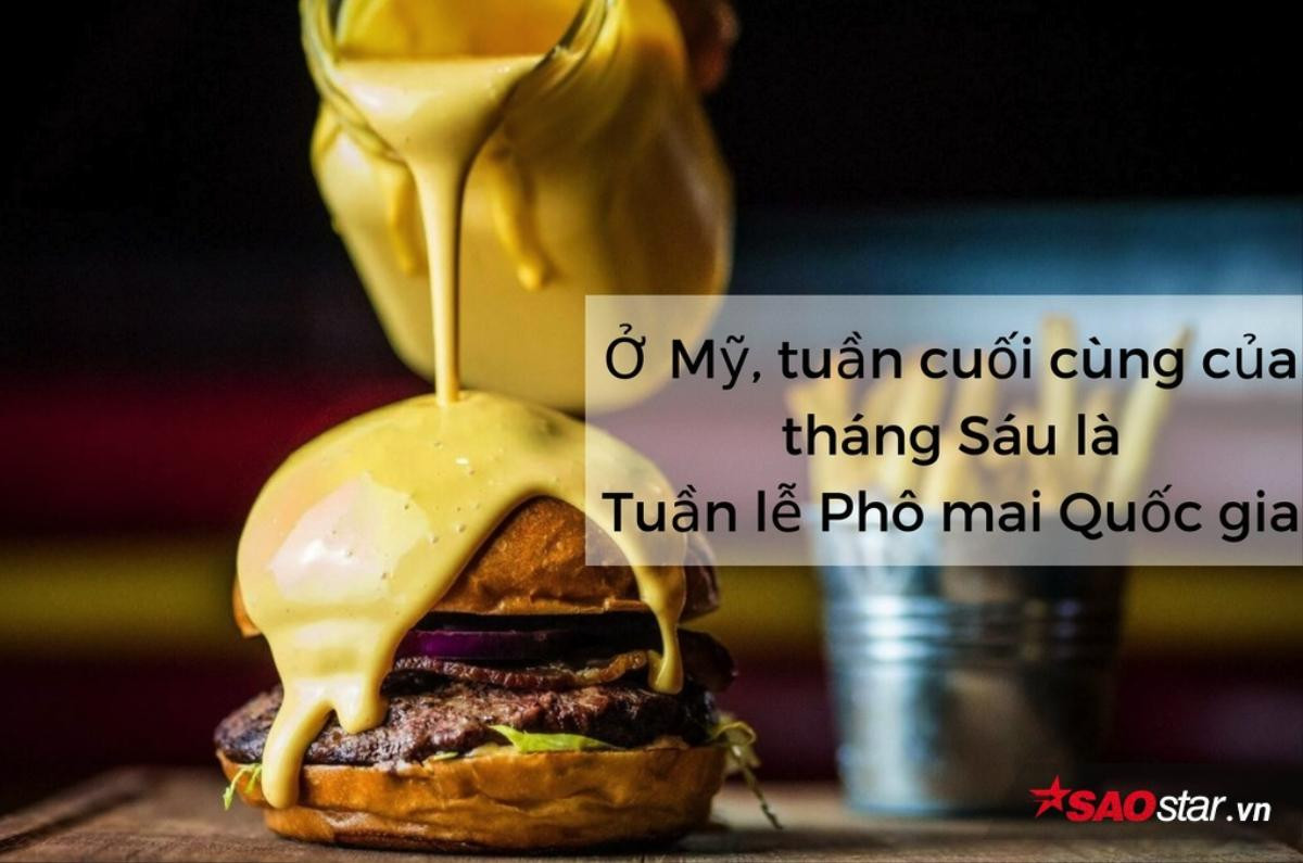 12 bí mật thú vị khó cưỡng về 'gia tộc' phô mai Ảnh 7