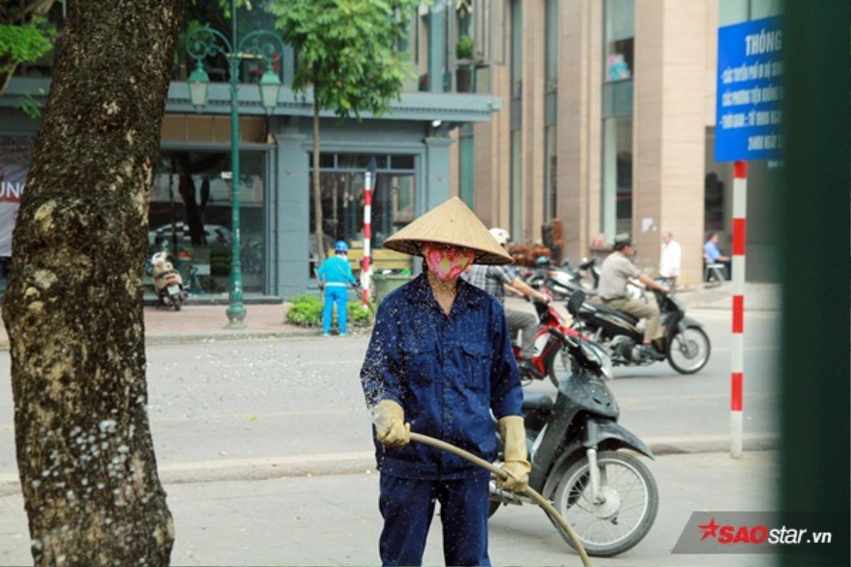 Hà Nội: Cắm chông bảo vệ cây xanh không khác gì 'đánh bẫy' người dân Ảnh 9