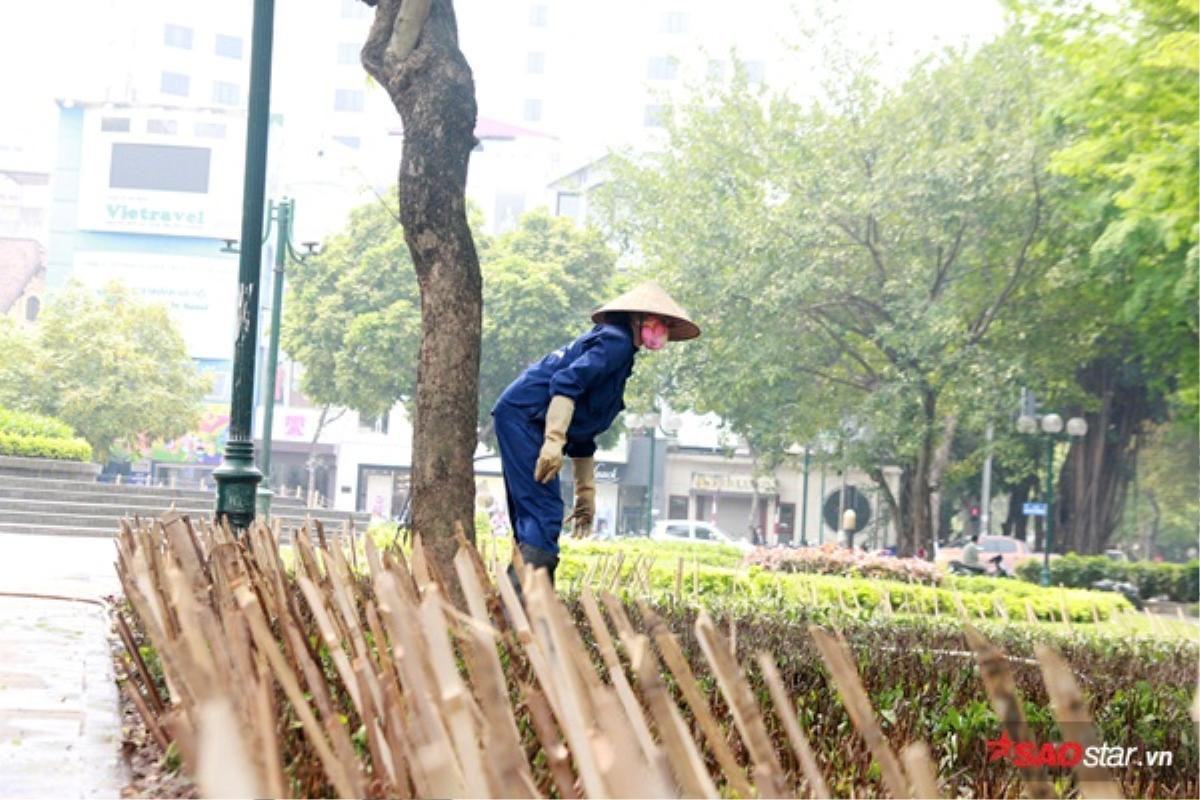 Hà Nội: Cắm chông bảo vệ cây xanh không khác gì 'đánh bẫy' người dân Ảnh 3