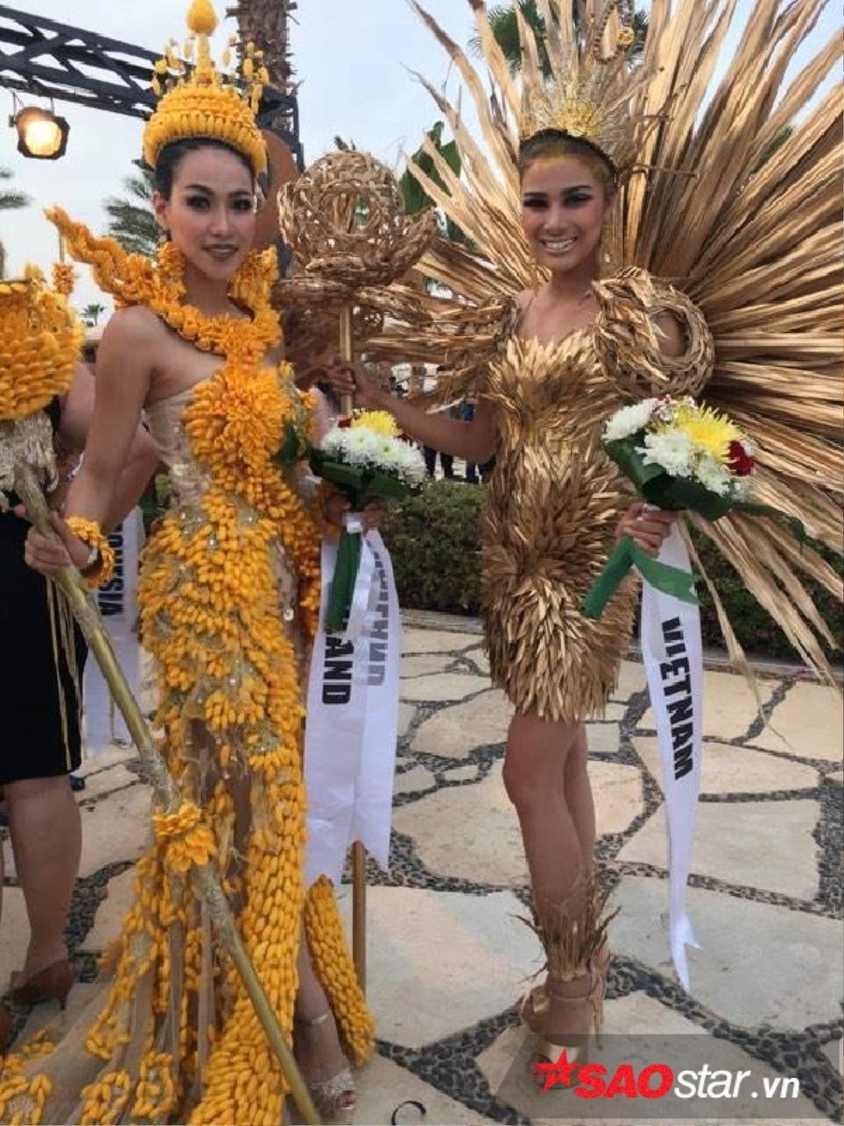 Nguyễn Thị Thành xuất sắc lọt Top 3 'Eco Costume' Ảnh 3