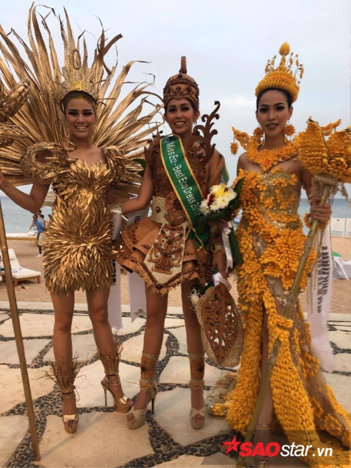 Nguyễn Thị Thành xuất sắc lọt Top 3 'Eco Costume' Ảnh 2