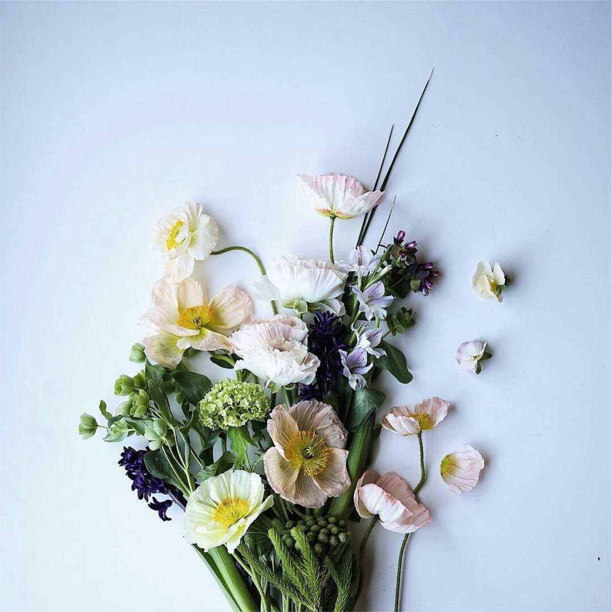 Flower flatlay - Không gì là không thể Ảnh 5