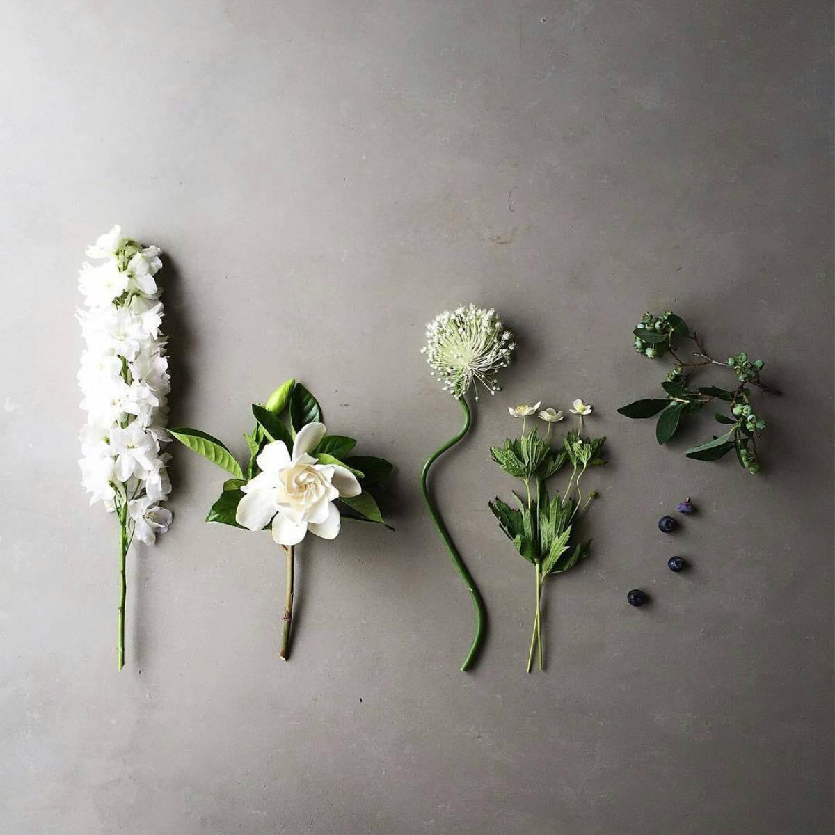 Flower flatlay - Không gì là không thể Ảnh 4