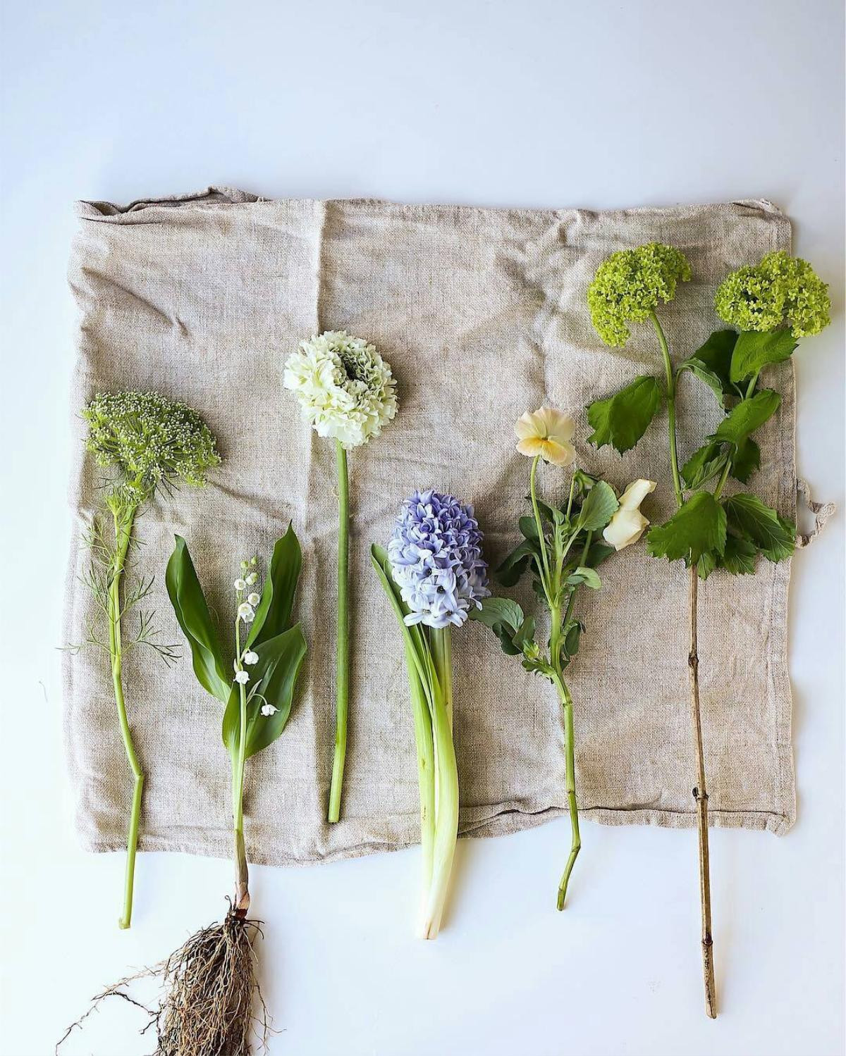 Flower flatlay - Không gì là không thể Ảnh 3