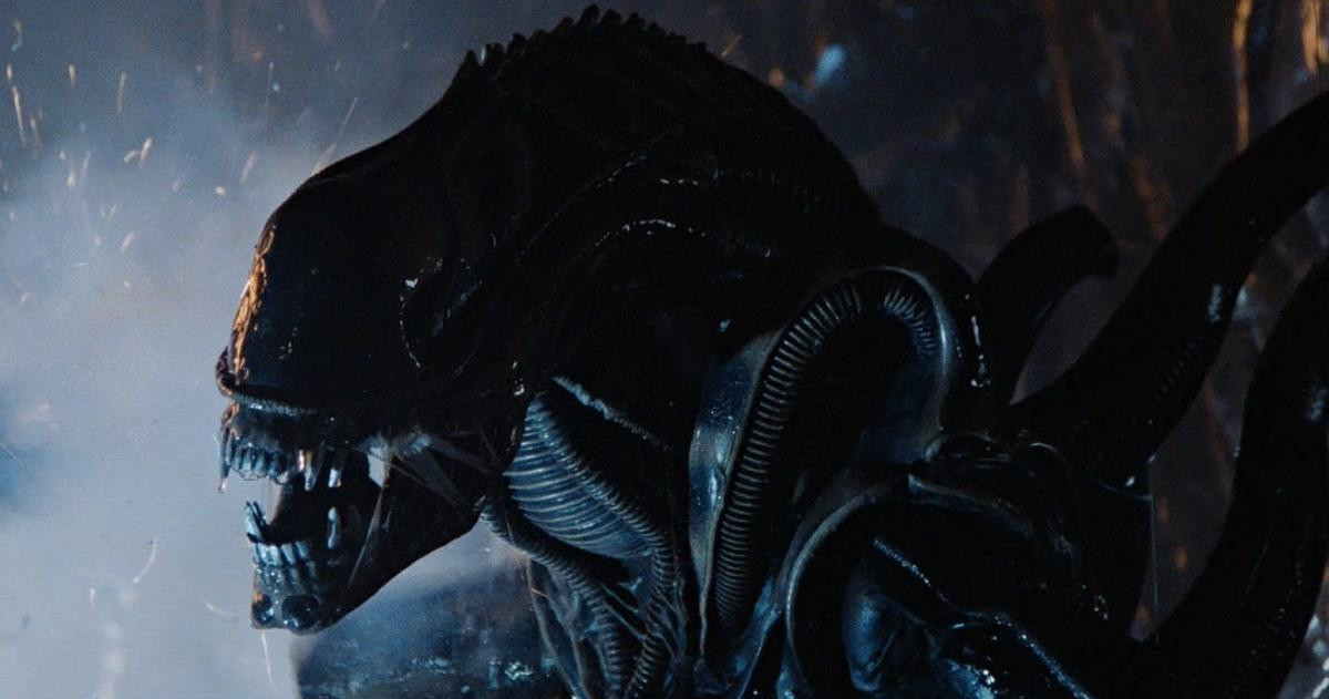 Alien Covenant - cơn ác mộng về quái vật không gian rùng rợn sắp công phá màn ảnh rộng Ảnh 3