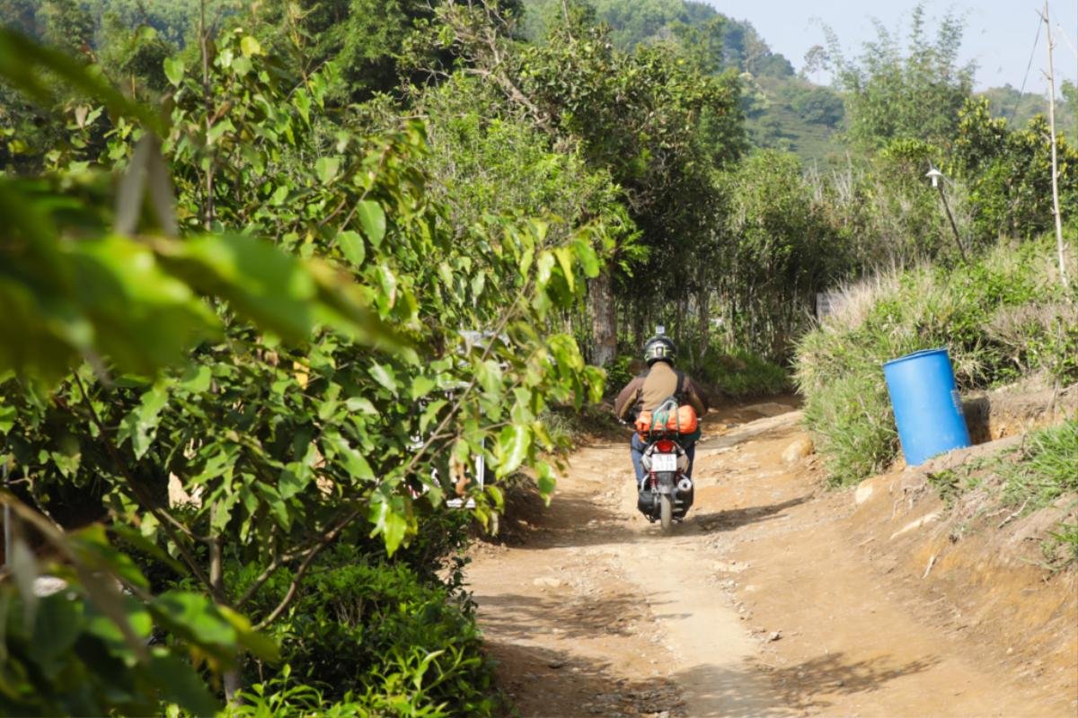 Hôn nhau, nằm bò ra sân chùa Linh Quy Pháp Ấn chụp ảnh Ảnh 5