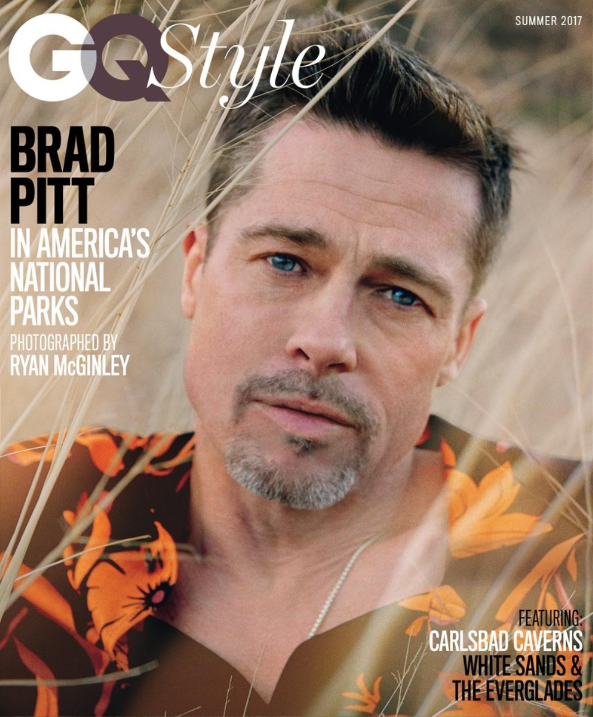 Brad Pitt thừa nhận kẻ nát rượu như anh là nguyên nhân chính dẫn đến hôn nhân tan vỡ Ảnh 1