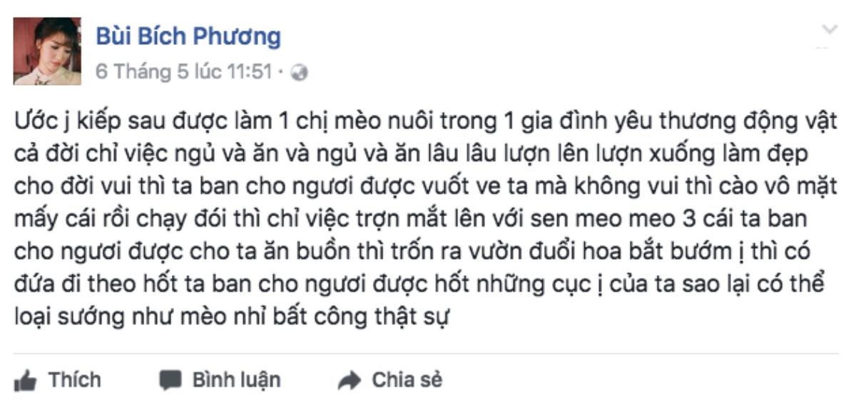 Chết cười với độ 'lầy' của Bích Phương Ảnh 10