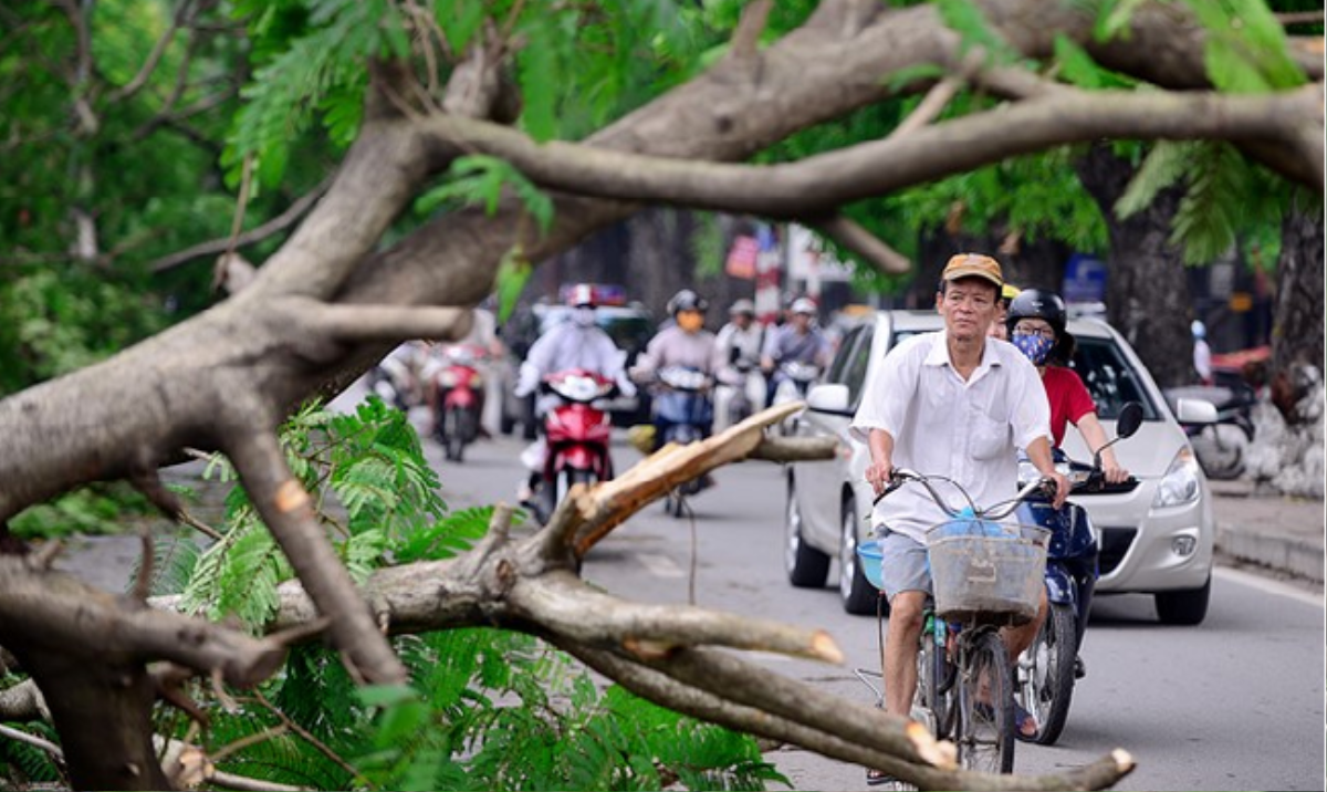 Thời tiết mùa hè năm 2017: Nắng nóng, mưa bão diễn biến phức tạp, trái quy luật Ảnh 1